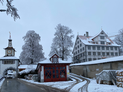 wandgestaltung für Schloss Hauptwil